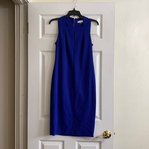 Blue Calvin Klein Dress
